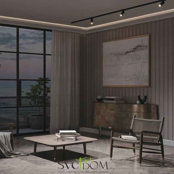 Трековый светильник Technical TR021-1-12B4K