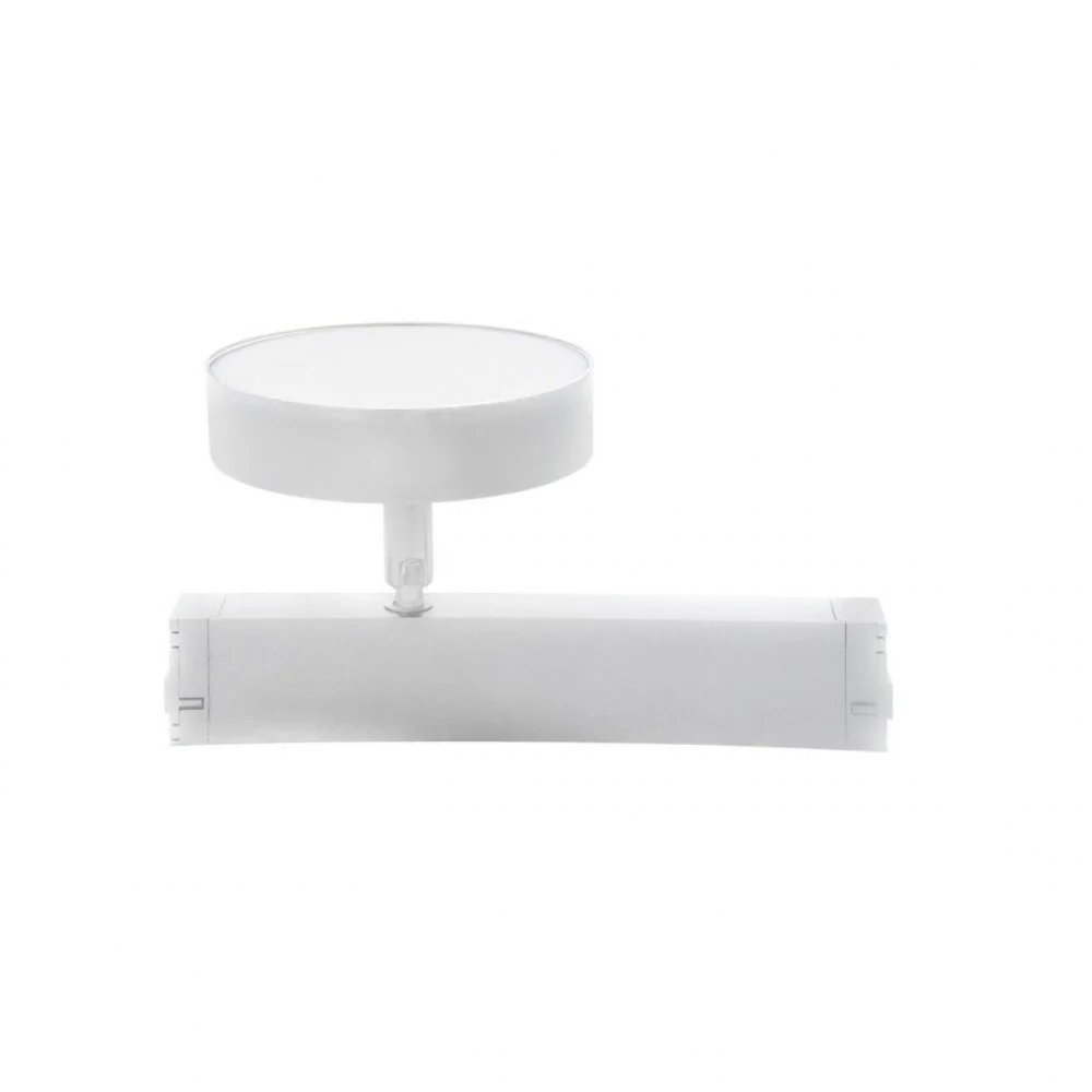 Светильник трековый Aployt  APL.0213.10.24