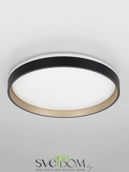 Citilux ENZO CL753451G LED RGB Светильник с пультом Черный + Золото