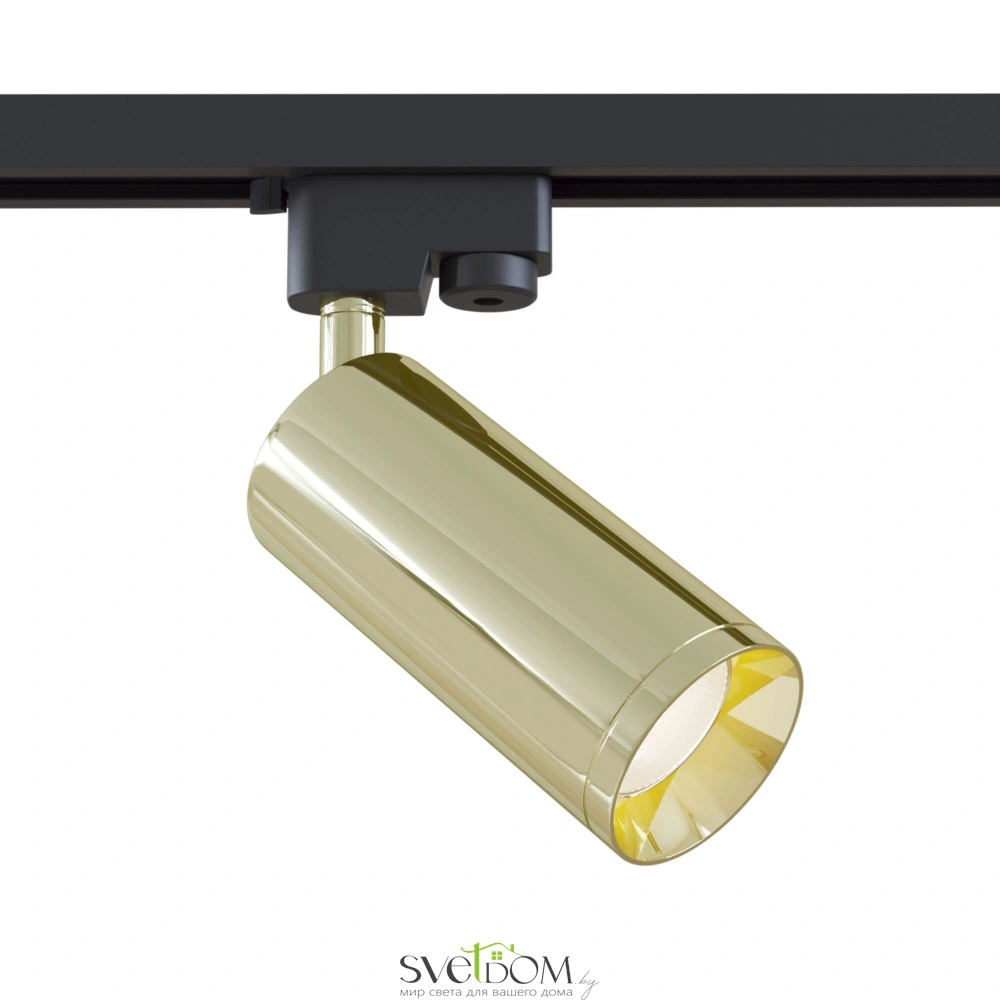 Трековый светильник Maytoni Focus TR004-1-GU10-G Maytoni
