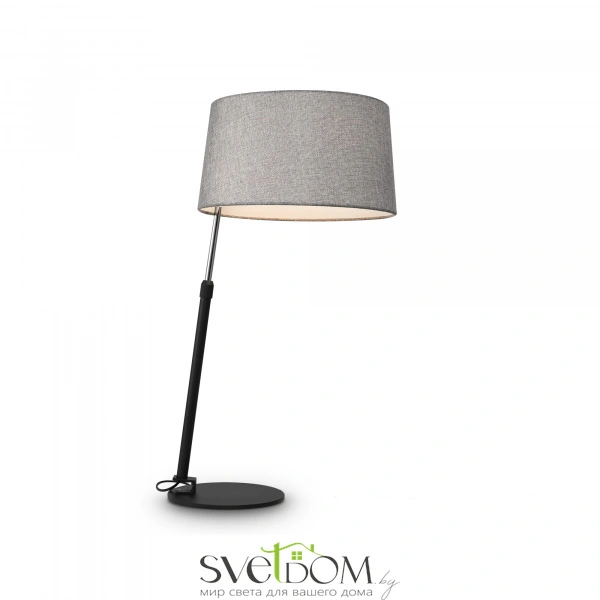 Настольный светильник Maytoni MOD613TL-01B