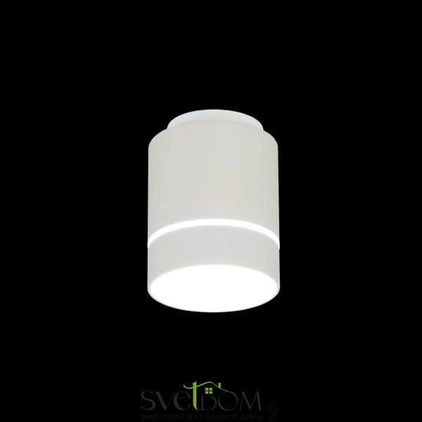 Citilux Борн CL745010N LED Светильник накладной Белый