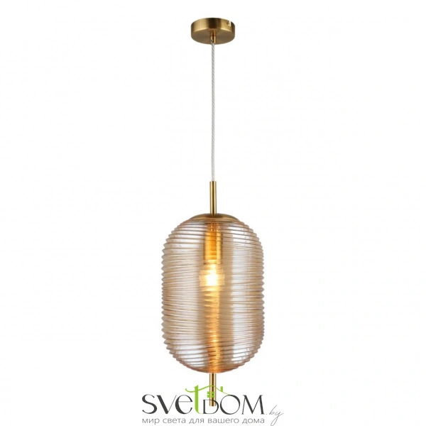 Подвесные светильники Aployt APL.316.06.01 от Магазина Svetdom.by