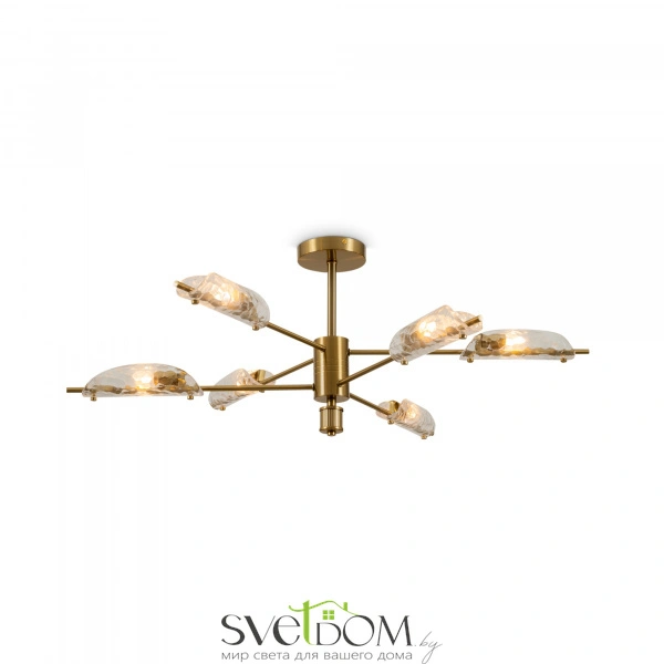 Потолочный светильник Freya FR5420CL-06BS