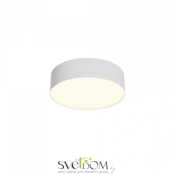 Потолочный светильник Technical C032CL-24W3K-RD-W