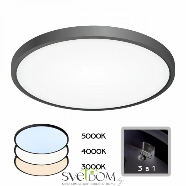 Citilux Бейсик CL738321V Светильник накладной Чёрный