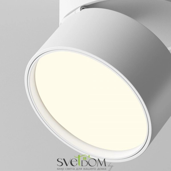 Потолочный светильник Technical C024CL-12W4K-W-1