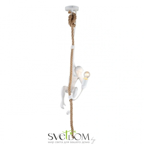 Подвесные светильники Aployt APL.309.06.01 от Магазина Svetdom.by