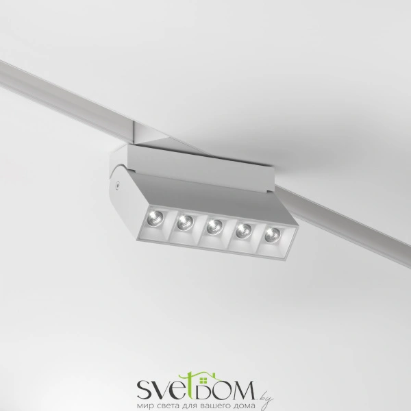 TR077-2-10W4K-W Maytoni