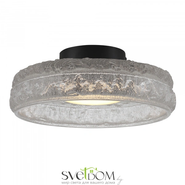 SL6143.402.01 Светильник потолочный ST-Luce черный/прозрачный LED 1*15W 4000K ANTIKE