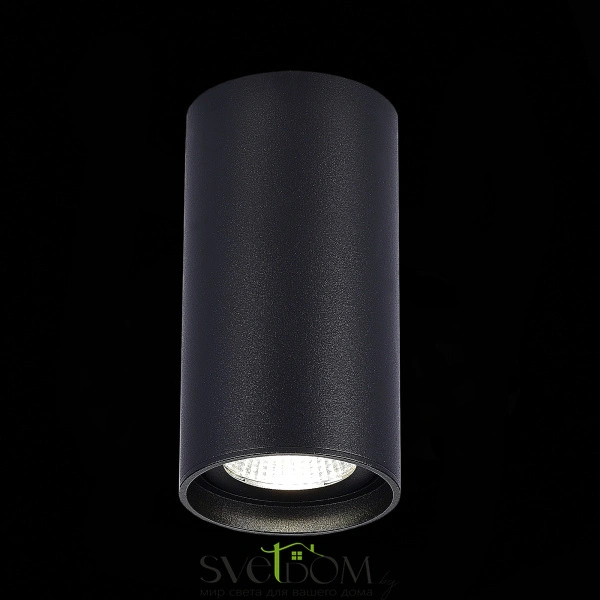 ST157.432.15 Светильник потолочный Черный LED 1*15W 3000K 1 200Lm Ra>90 60° IP44 D75xH140 220-265V Накладные светильники