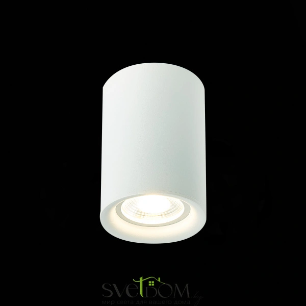 ST114.507.01 Светильник потолочный Белый GU10 1*50W  IP20 L65xW65xH93 220V Без ламп Накладные светильники