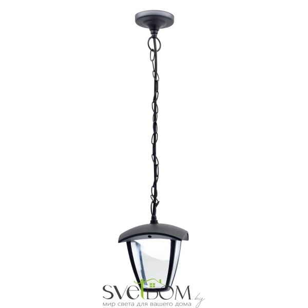 Citilux CLU04P LED Уличный подвесной светильник Чёрный CITILUX