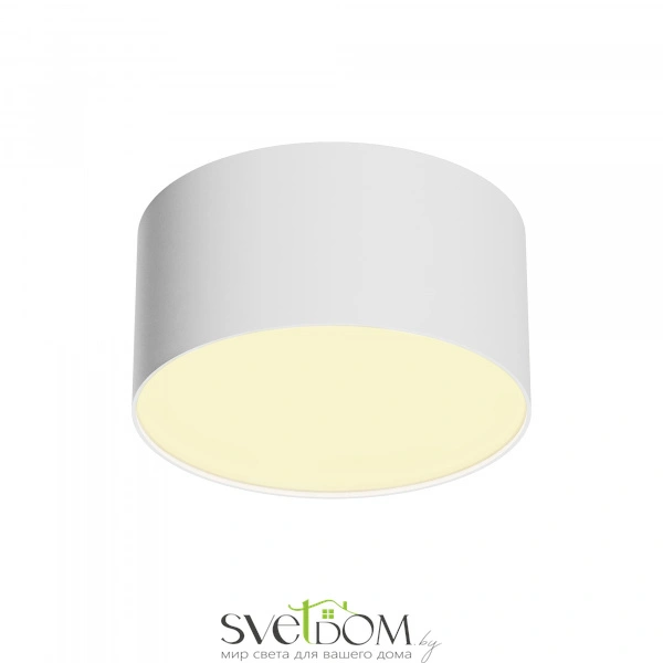 Потолочный светильник Technical C032CL-12W2.7K-RD-W