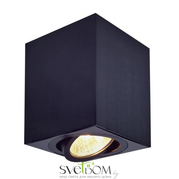 Citilux Дюрен CL538213 Светильник накладной поворотный Чёрный