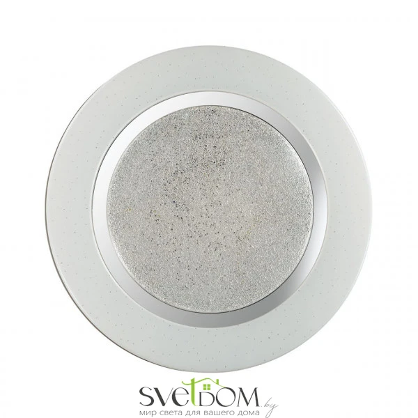 Настенно-потолочные светильники  2079/DL от Магазина Svetdom.by
