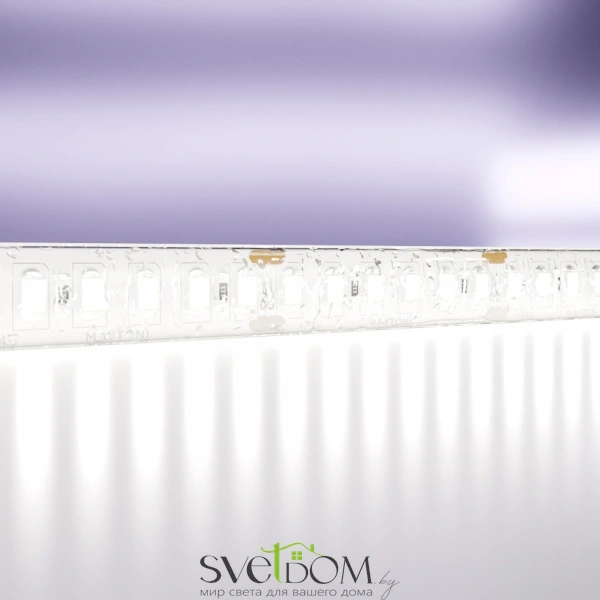 Светодиодная лента 24В 2835 20Вт/м 6000K 5м IP65 10159