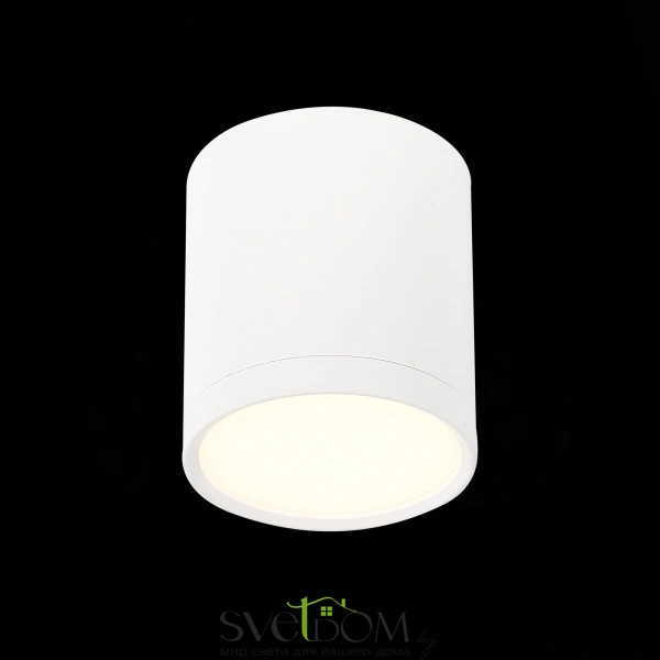 ST113.532.05 Светильник потолочный Белый LED 1*5W 3000K 390Lm Ra>90 120° IP20 D68xH75 170-240V Накладные светильники