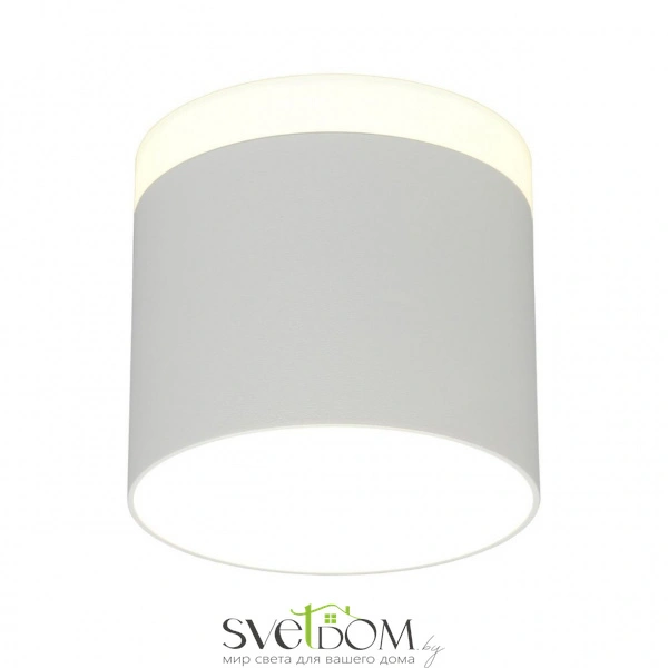 Накладные светильники Omnilux OML-102309-16 от Магазина Svetdom.by