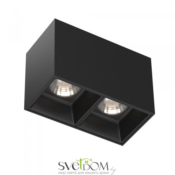 Потолочный светильник Technical C065CL-02-L12W4K-B