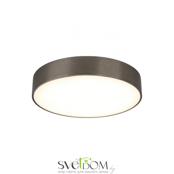 Настенно-потолочные светильники Aployt APL.0114.19.24 от Магазина Svetdom.by