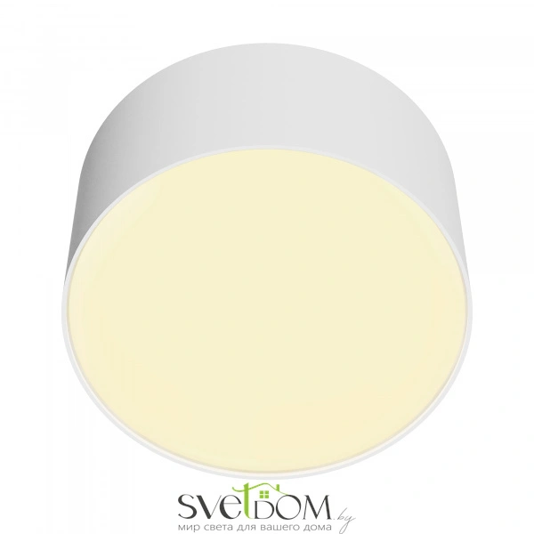 Потолочный светильник Technical C032CL-12W2.7K-RD-W