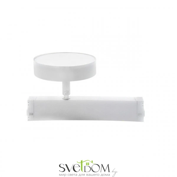 Светильник трековый Aployt  APL.0213.10.24