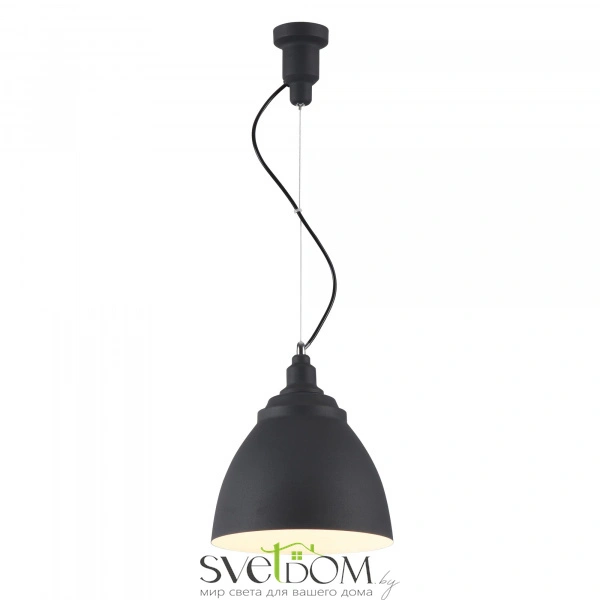 Подвесной светильник Maytoni P534PL-01B