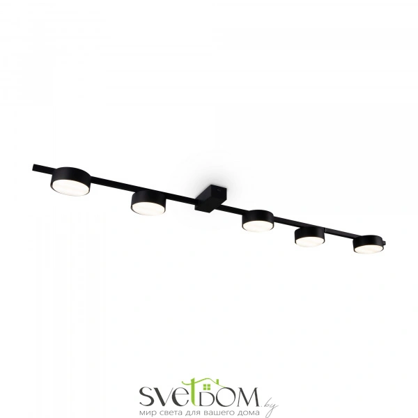 Потолочный светильник Freya FR5363CL-05B