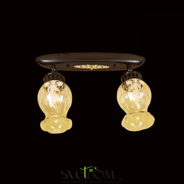 Citilux Метафора CL413121 Светильник с поворотными плафонами