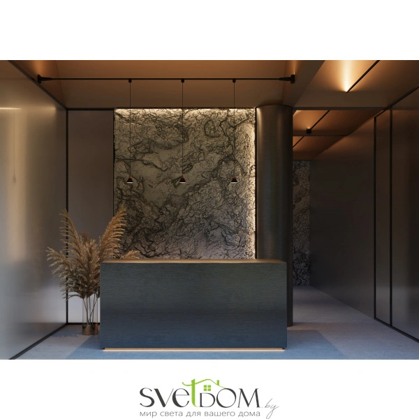 Трековый подвесной светильник Technical TR166-1-7W3K-M-B