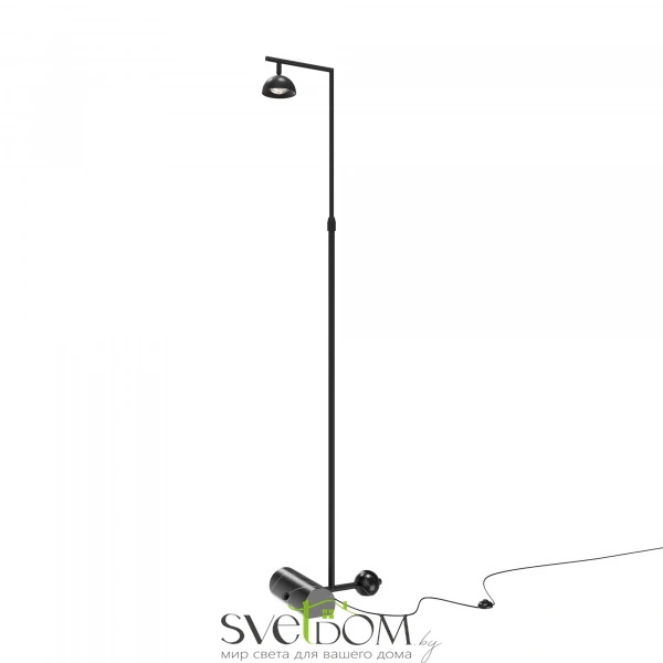 Напольный светильник (торшер) Maytoni MOD372FL-L10B3K