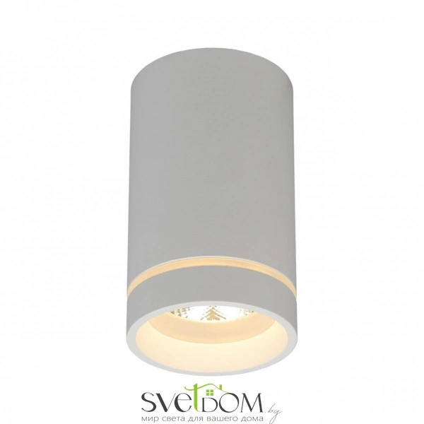 Накладные светильники Aployt APL.0053.09.10 от Магазина Svetdom.by