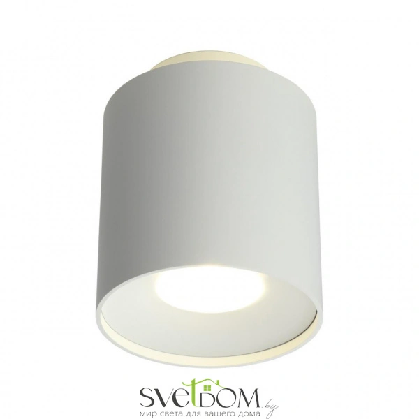 Накладные светильники Omnilux OML-100309-16 от Магазина Svetdom.by