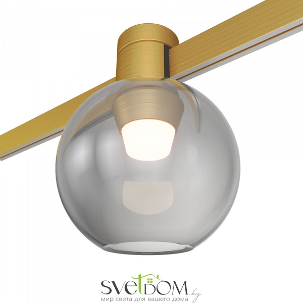 ST819.206.03 Магнитный трековый светильник FARM Золотистый LED 1*3W 3000K 89Lm Ra90 120 IP20 D85xH11 FARM