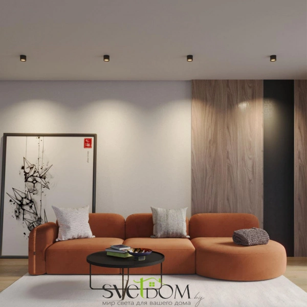 359593 OVER NT25 000 черный Светильник накладной светодиодный с переключ. цв. температуры IP20 LED 6W 220-240V 3000К\4000К\6000К ORBIS