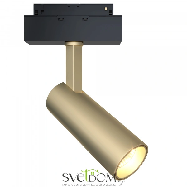 Трековый светильник TR019-2-10W4K-MG