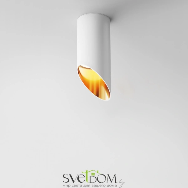 Потолочный светильник Technical C044CL-01-15GU10-W