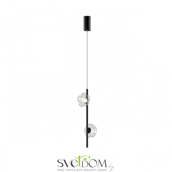 Светильник подвесной Aployt  APL.074.16.02