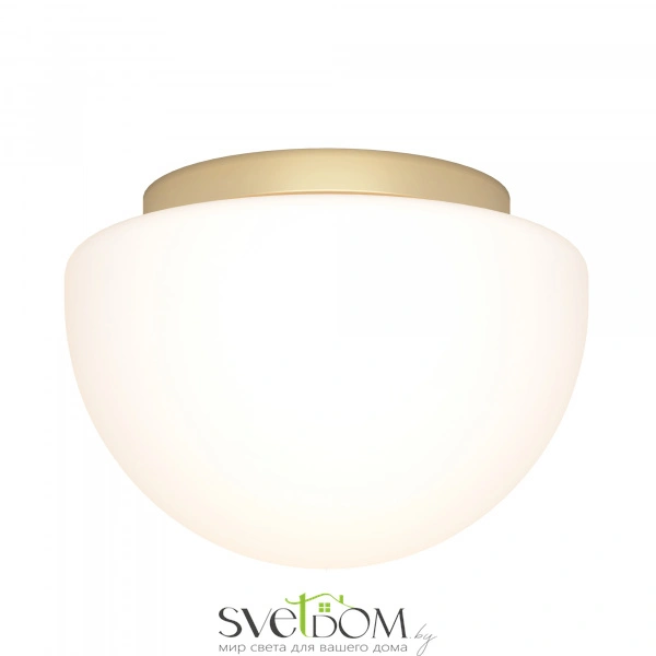 Потолочный светильник Maytoni MOD270CL-01G