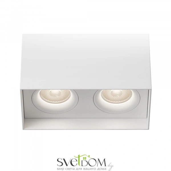 Потолочный светильник Technical C015CL-02W