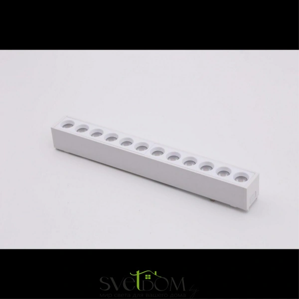 Светильник трековый Aployt  APL.0100.11.12