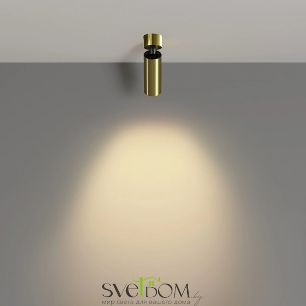 Потолочные светильники Maytoni C055CL-L12W2.7K-W-BS от Магазина Svetdom.by