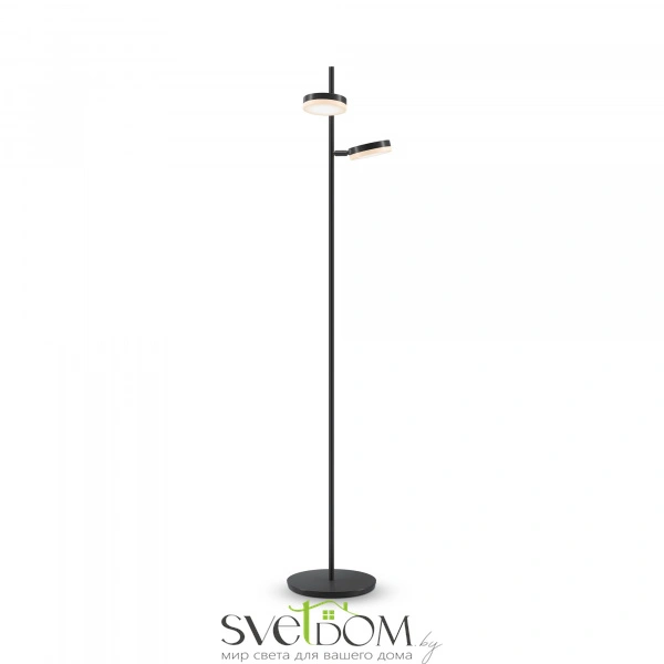 Напольный светильник (торшер) Maytoni MOD070FL-L12B3K