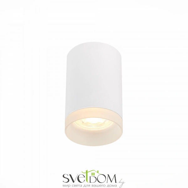 ST100.502.01 Светильник потолочный Белый GU10 1*50W IP20 D64xH99 220V Без ламп Накладные светильники