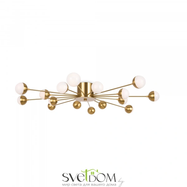 Потолочный светильник Freya FR5242CL-16BS