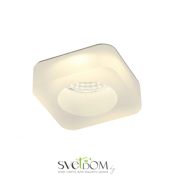 Накладные светильники Aployt APL.0104.19.05 от Магазина Svetdom.by