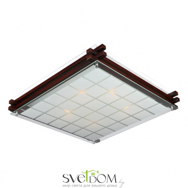 Настенно-потолочные светильники Omnilux OML-40507-05 от Магазина Svetdom.by