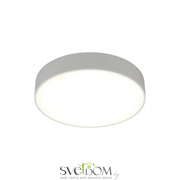 Настенно-потолочные светильники Aployt APL.0114.09.24 от Магазина Svetdom.by