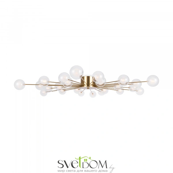 Потолочный светильник Freya FR5242CL-24BS1